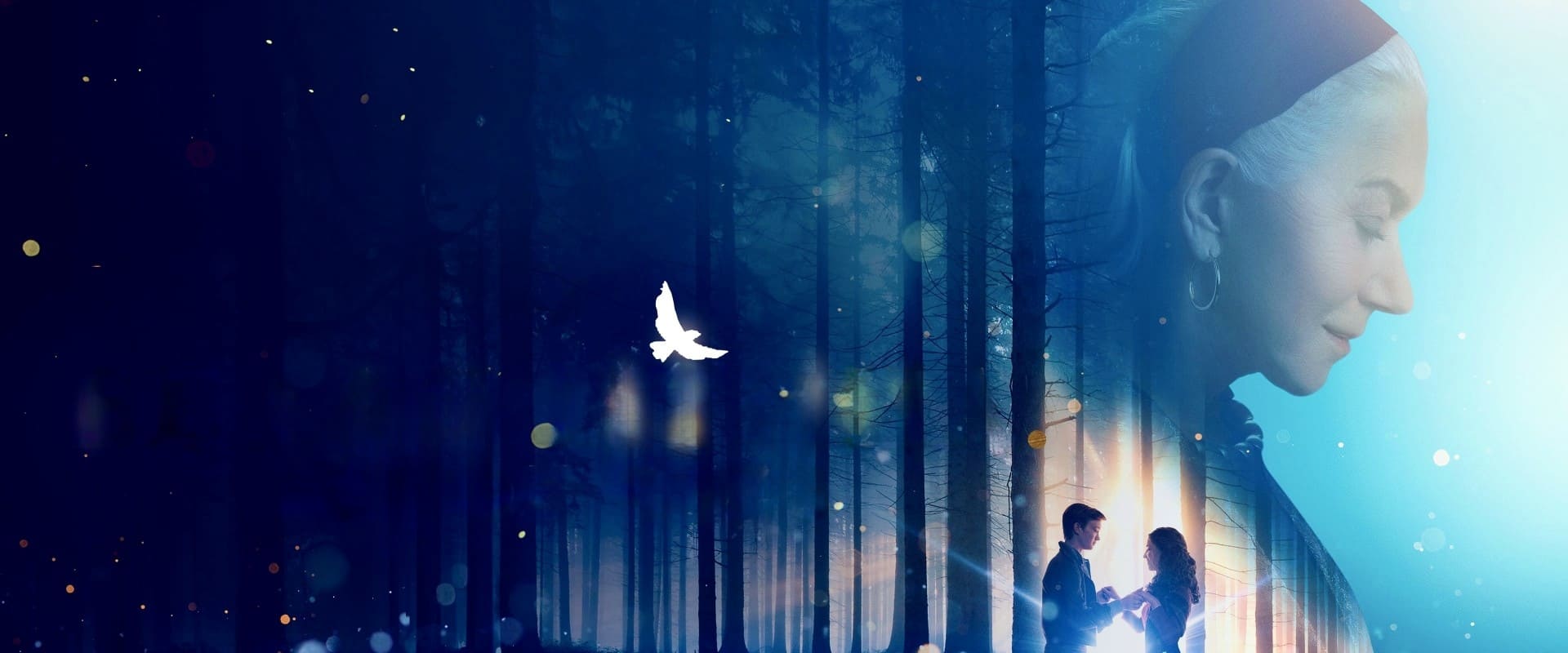 White Bird 2023