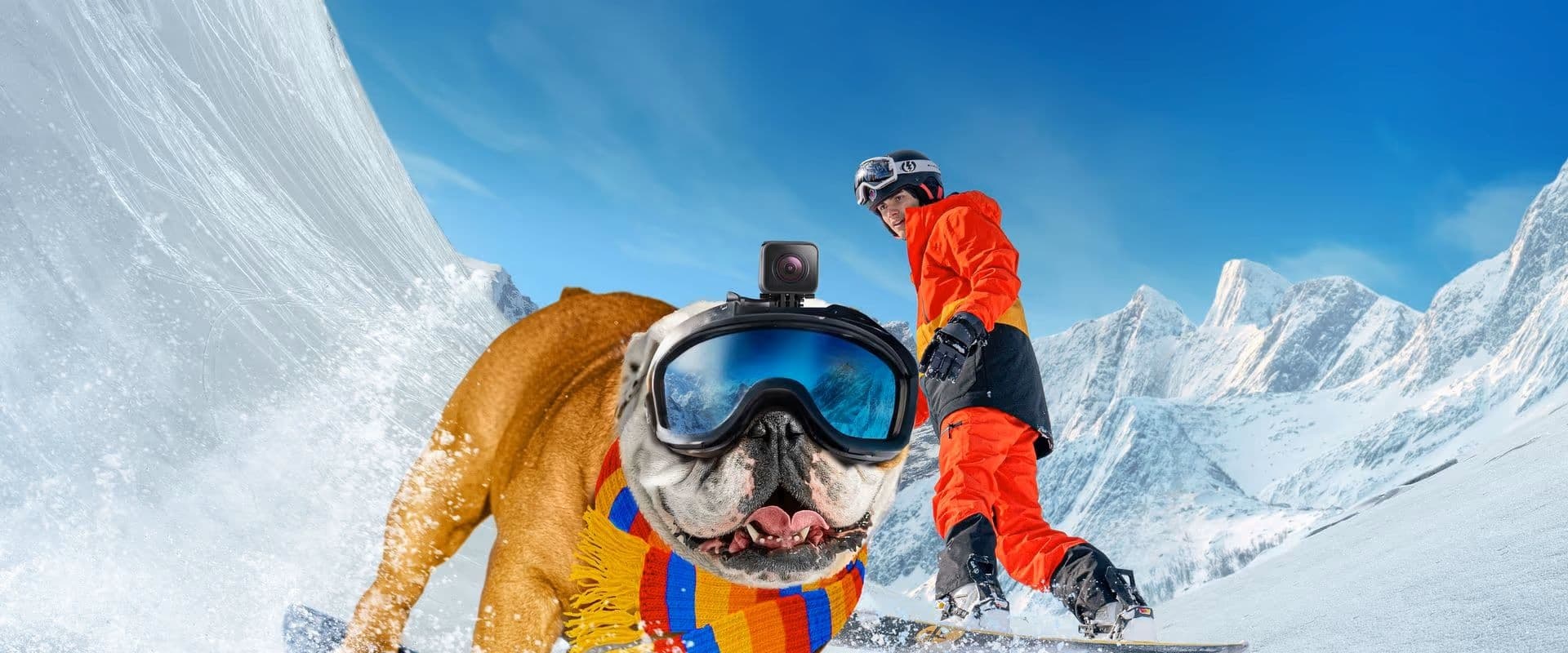 Powder Pup 2024