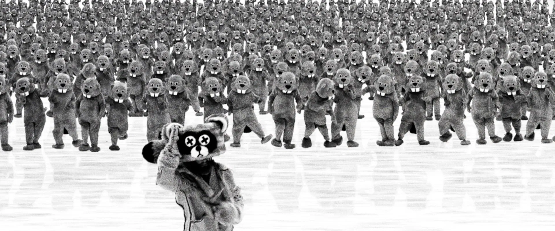 Hundreds of Beavers 2022