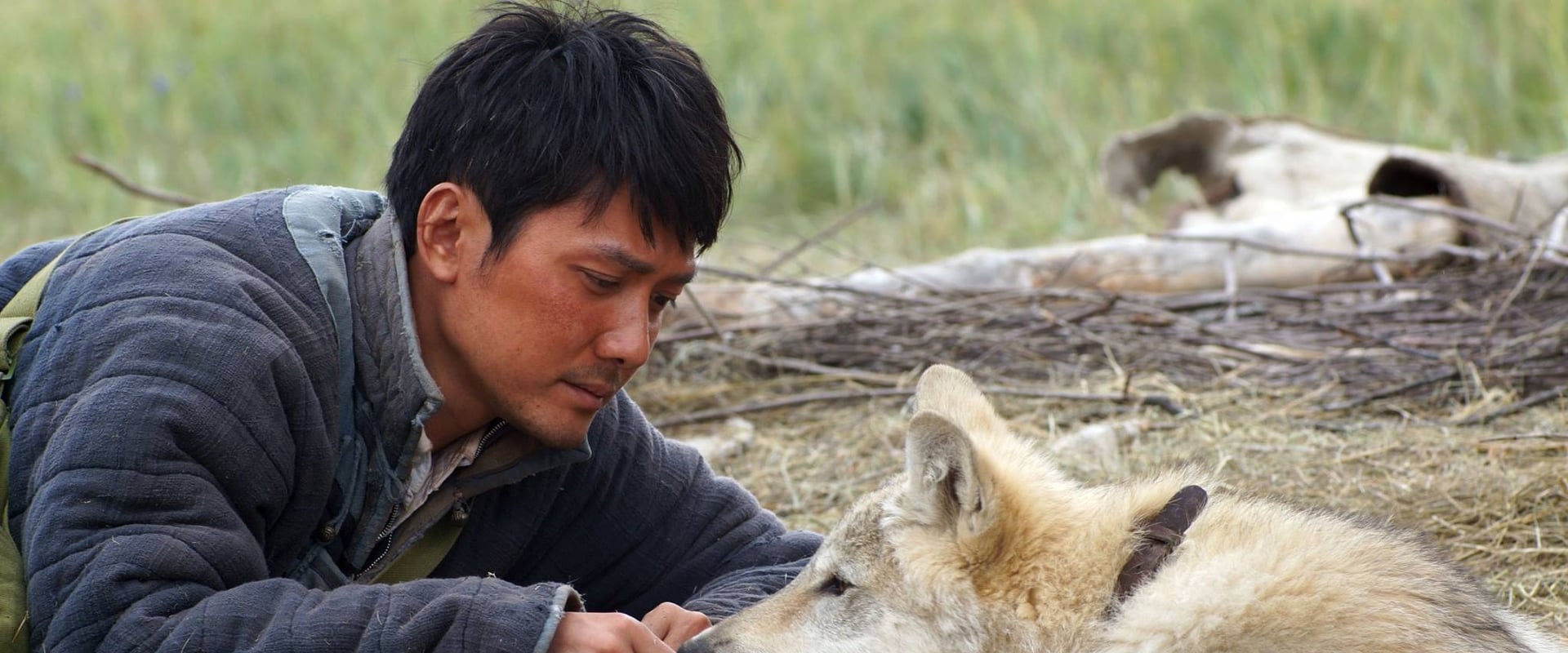 Wolf Totem 2015