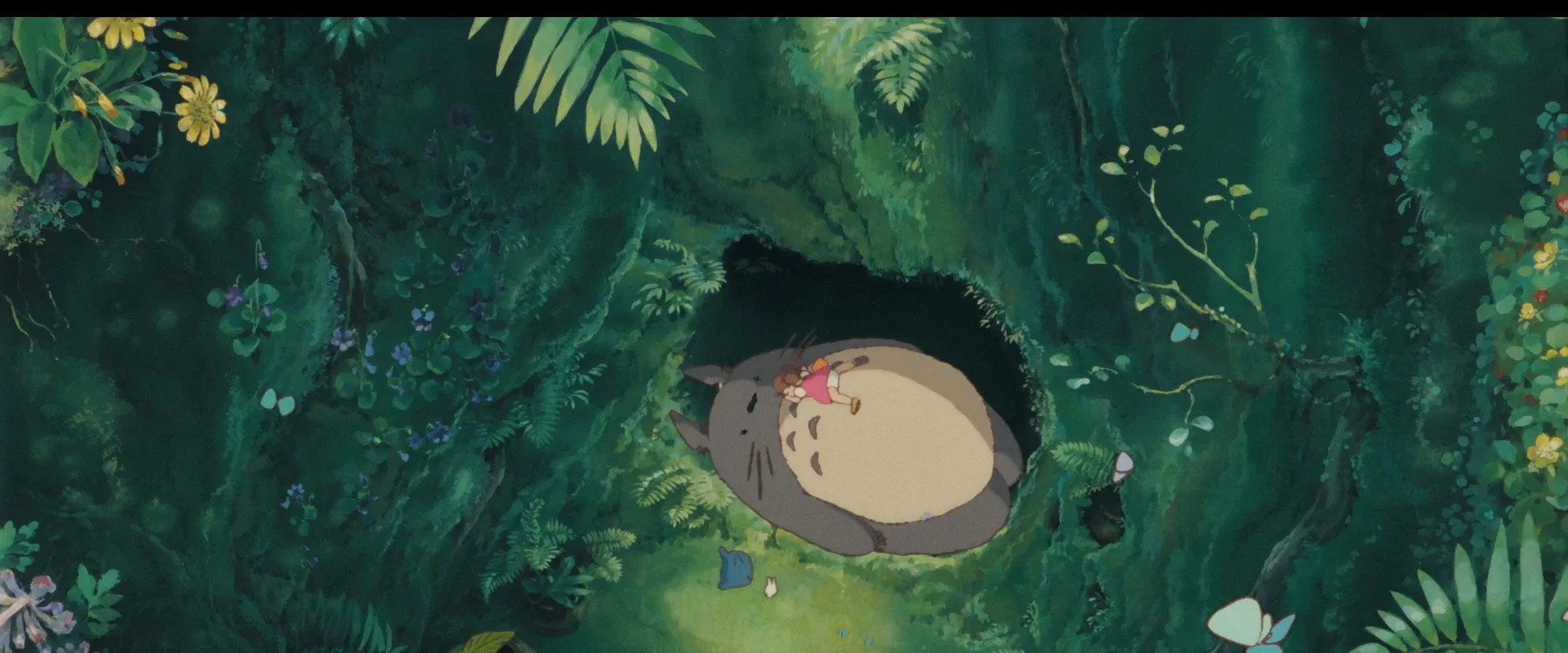 Miyazaki: L’Esprit de la Nature 2024