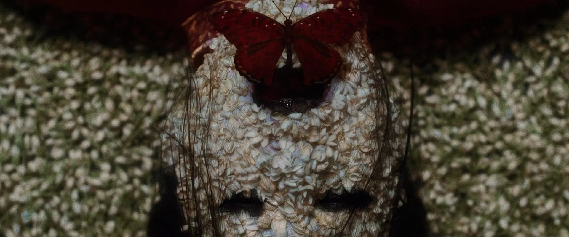 The Butterfly House 2025