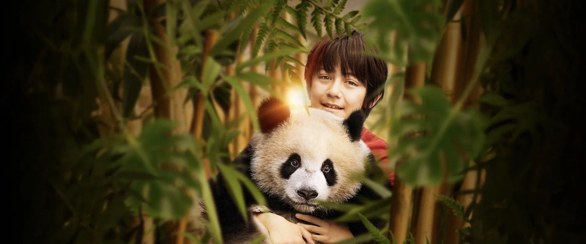 Moon the Panda 2025