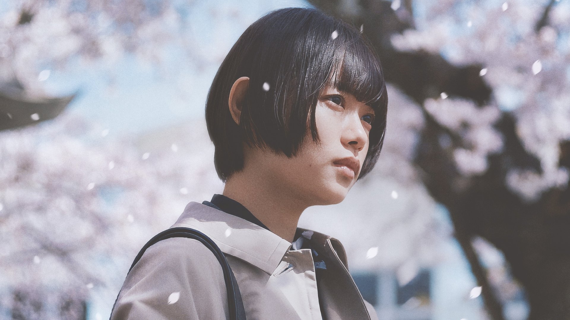Sakura 2024